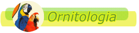 ORNITOLOGIA